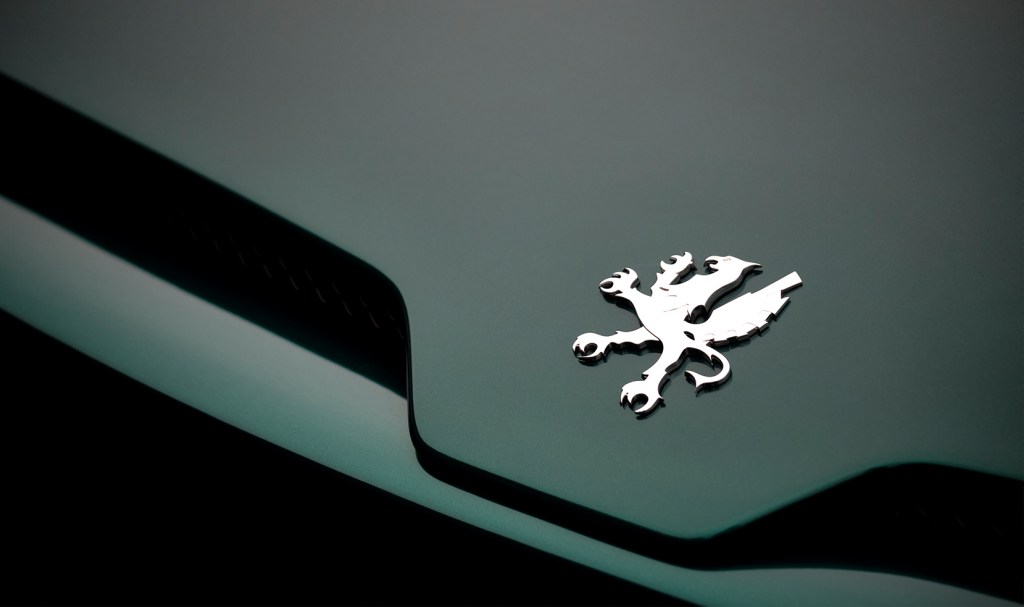 Griffon